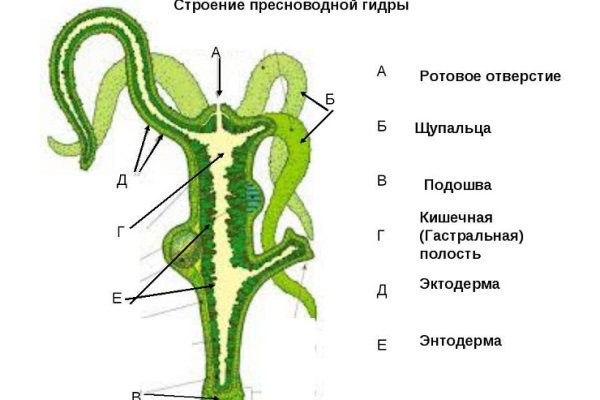 Kraken даркнет маркет