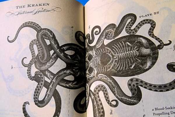 Маркетплейс кракен kraken