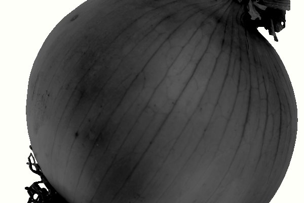 Kraken istand onion