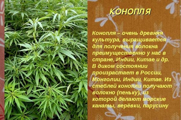 Войти на кракен