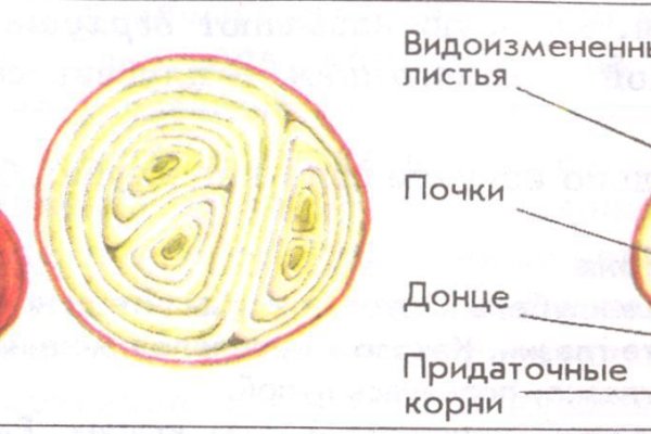 Не работает сайт kraken