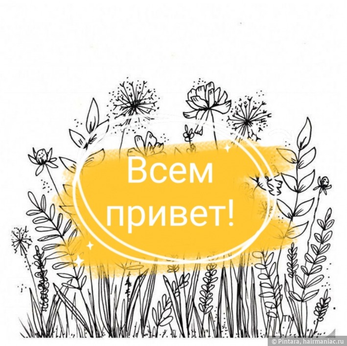 Кракена net